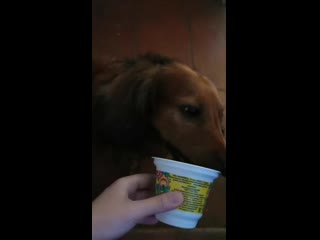 Vid 20200621 141917 mp4