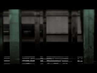 Behati prinsloo speaks on her work with the organization, save the rhino trust namibia ( 720 x 1280 ) mp4