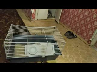 Vid 20191003 173050 mp4