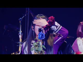 [roselia live vier] roselia – neo aspect