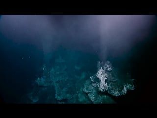 Gigantic elaborate hydrothermal vents off british columbia nautilus live