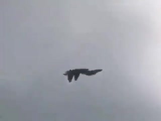 This is a sukhoi during an air show, not a video game (1)