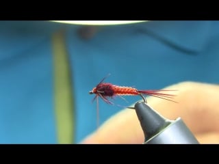 Tying a clear stretch pheasant tail nymph by mak flies