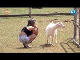 Flávia se emociona depois de interagir com as cabras