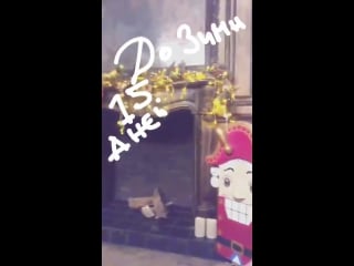 Stories @yulia mayboroda 15 11 17