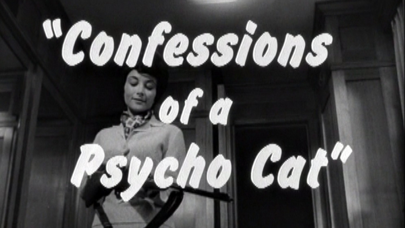 Признания сумасшедшей кошки / confessions of a psycho cat / 1968 / херб стэнли