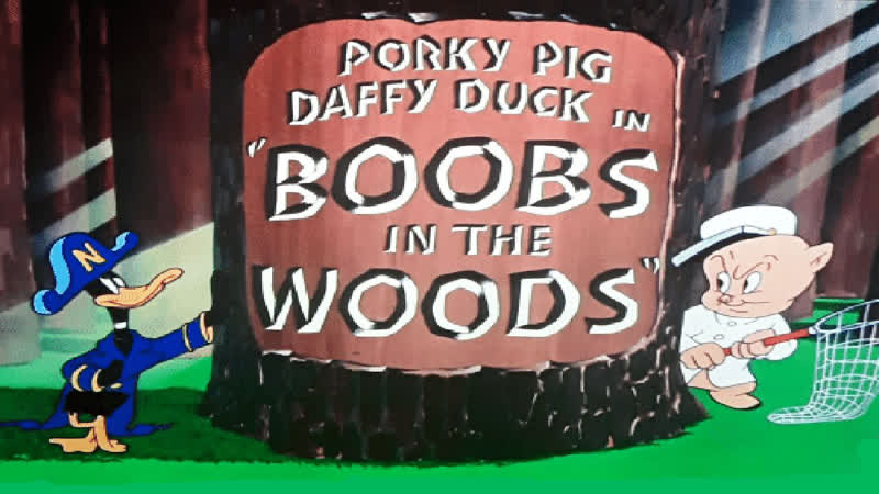 Daffy duck &amp; porky pig in "boobs in the woods", 1950, full cartoon