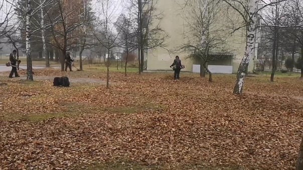 В жкх «объяснили», почему коммунальщики так часто косят опавшие листья и снег (1)
