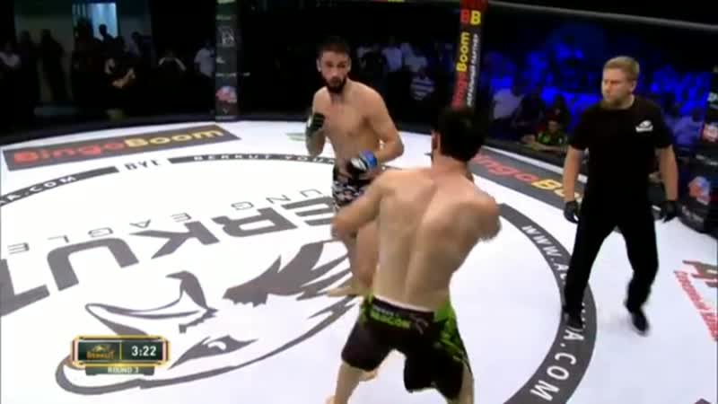 Хан курбанов