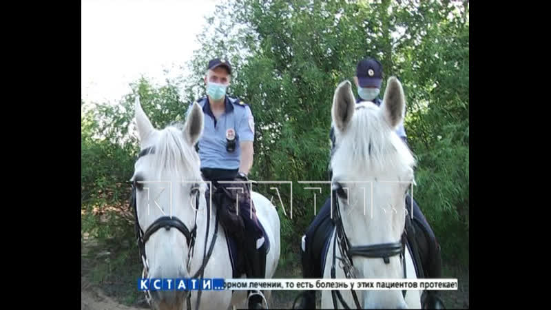 Мы продолжаем следить за темой секс скандала на пляже гребного канала