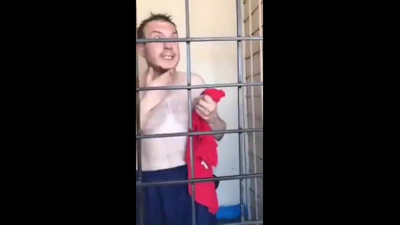 Только яшин, только динамо! мяу! мяу! отсоси у синебелых