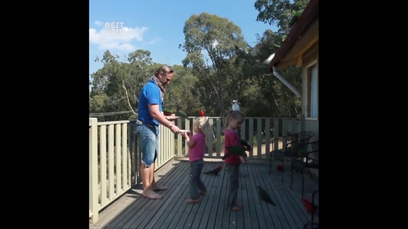 Из за чего мне хочется переехать в австралию