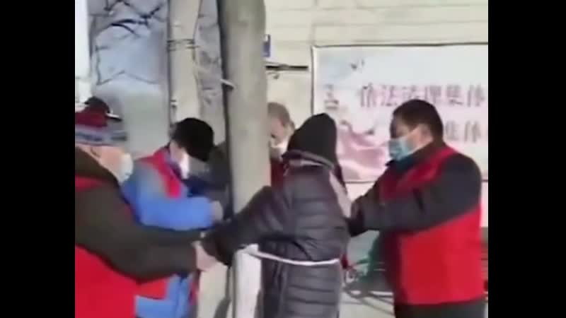 Привязали к столбу за нарушение изоляции