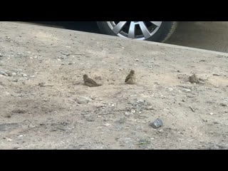 « сухой» душ)