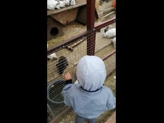 Vid 20200912 141156 mp4