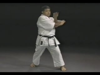 Morio higaonna goju ryu karate bunkai