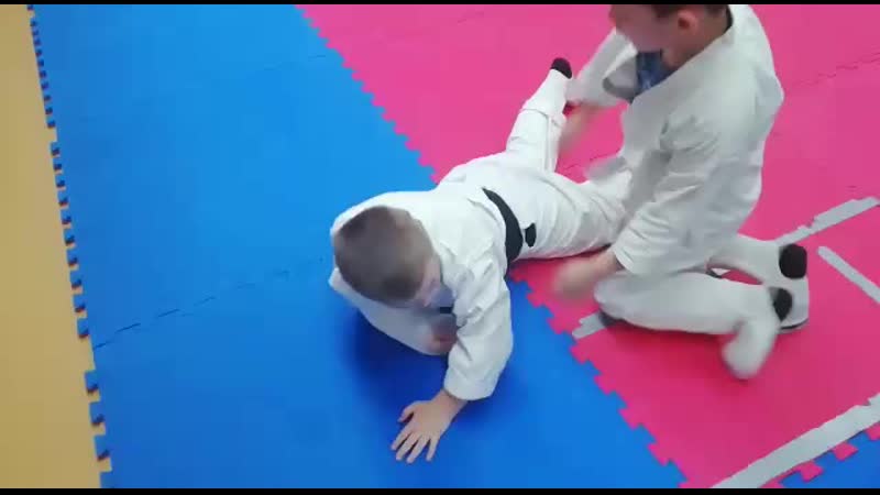 Борьба и отработка приёмов самбо