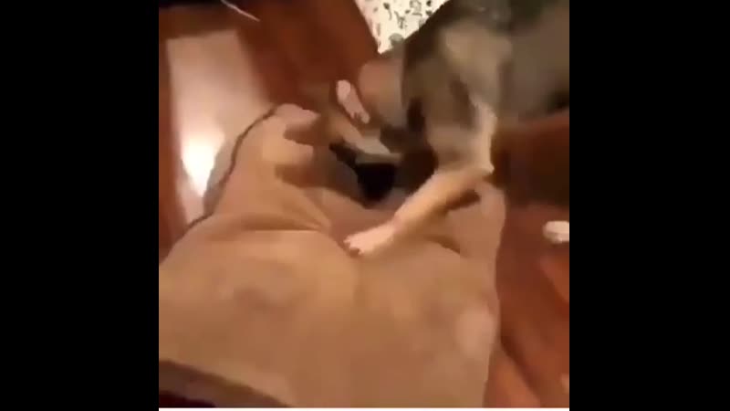 Устроился поудобнее (vhs video)