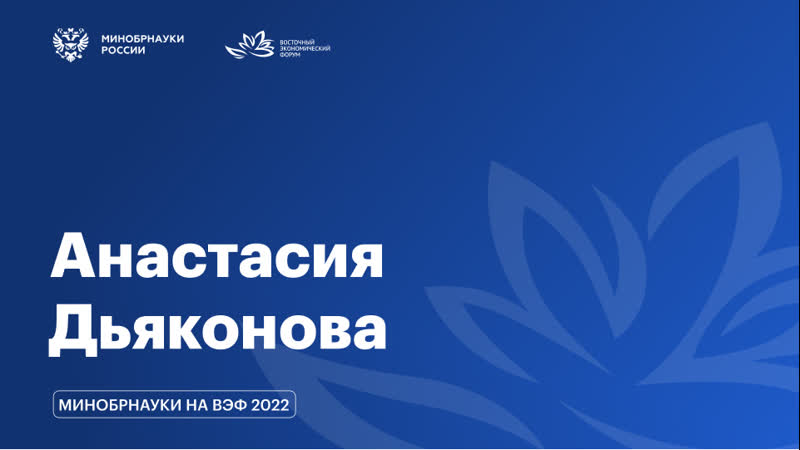 Вэф / интервью с анастасией дьяконовой