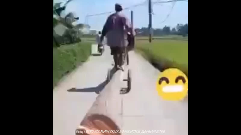 Перемещение валежника в пространстве по азиатски таинственная азия