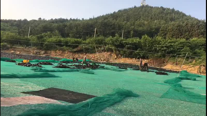 Рабочие вакансии