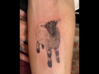 @skylargrey just got a new tattoo at the evan tattoo center in nyc the tattoo is a tribute to the closest one of her sheep, val
