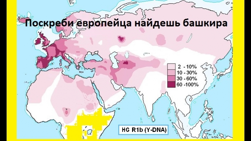Поскреби европейца обнаружишь башкира генетическая конспирология