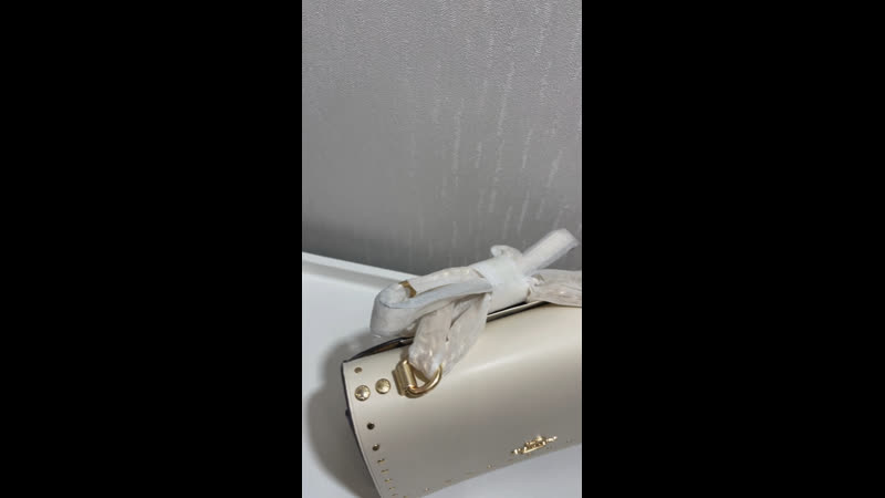 Coach klare crossbody