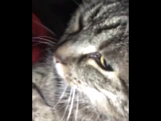 Spit sick shit achoo | instagram kidx (soskidx) |