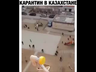 Как в муравейнике 😆