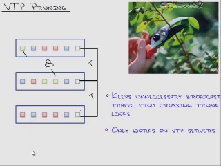 Ccnp switch 5 (vtp) rus