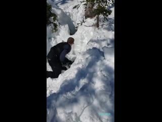 A couple of guys snowmobiling in newfoundland rescue a moose