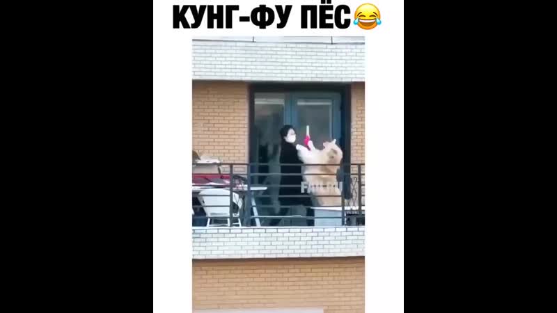 Когда самоизоляция довела😂