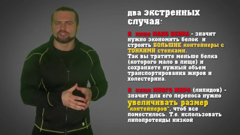 Польза яиц есть ли она, или больше вреда
