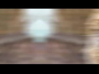 Ебнутый флекс котов