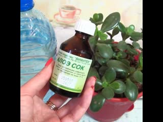 Moya dacha dachnaya zhizn (1)