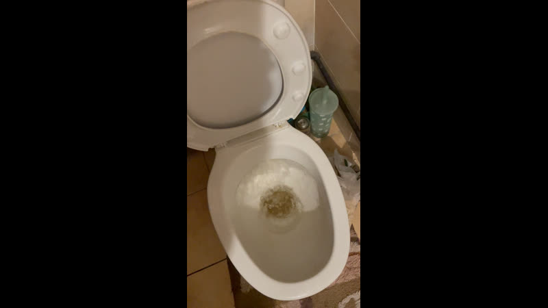 Засор в унитазе
