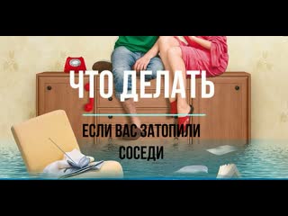 Школа жкх что делать, если затопили соседи