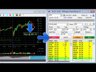 How to use a stop loss order colmex pro trading platform