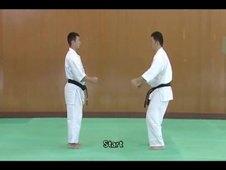 2 bunkai kumite pin an sono ni gedan barai