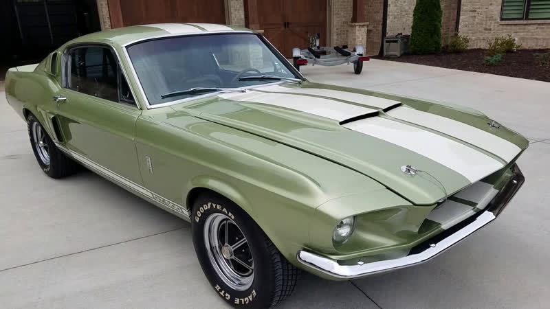 1967 shelby mustang gt500