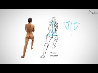 Proko «figure drawing fundamentals» (part 15/42)