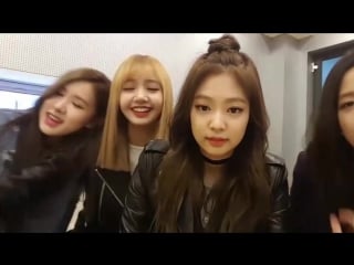 Blackpink jennie lisa rose jisoo