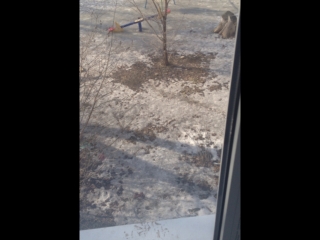 Признания | сызрань live