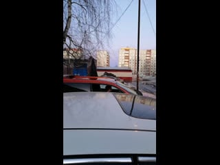 Live ☆☆☆honda club tobolsk☆☆☆72rus