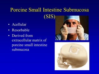 The science of biologic grafts in csf leak repair and skull base reconstruction