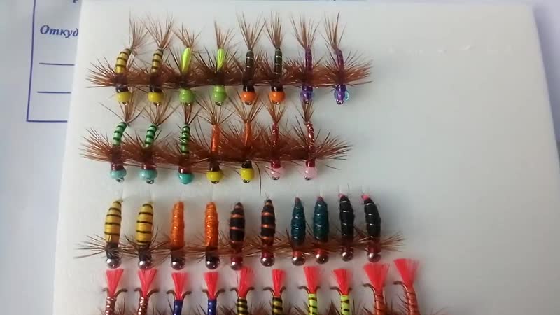 Набор был собран в петербург