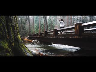 Datura reverie (mx77)