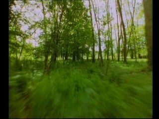 Erasure "lay all your love on me" (1992)