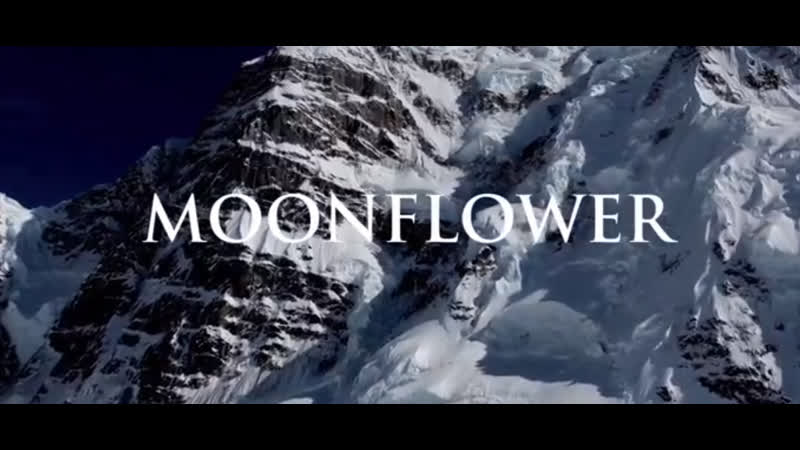 Лунный цветок / moon flower